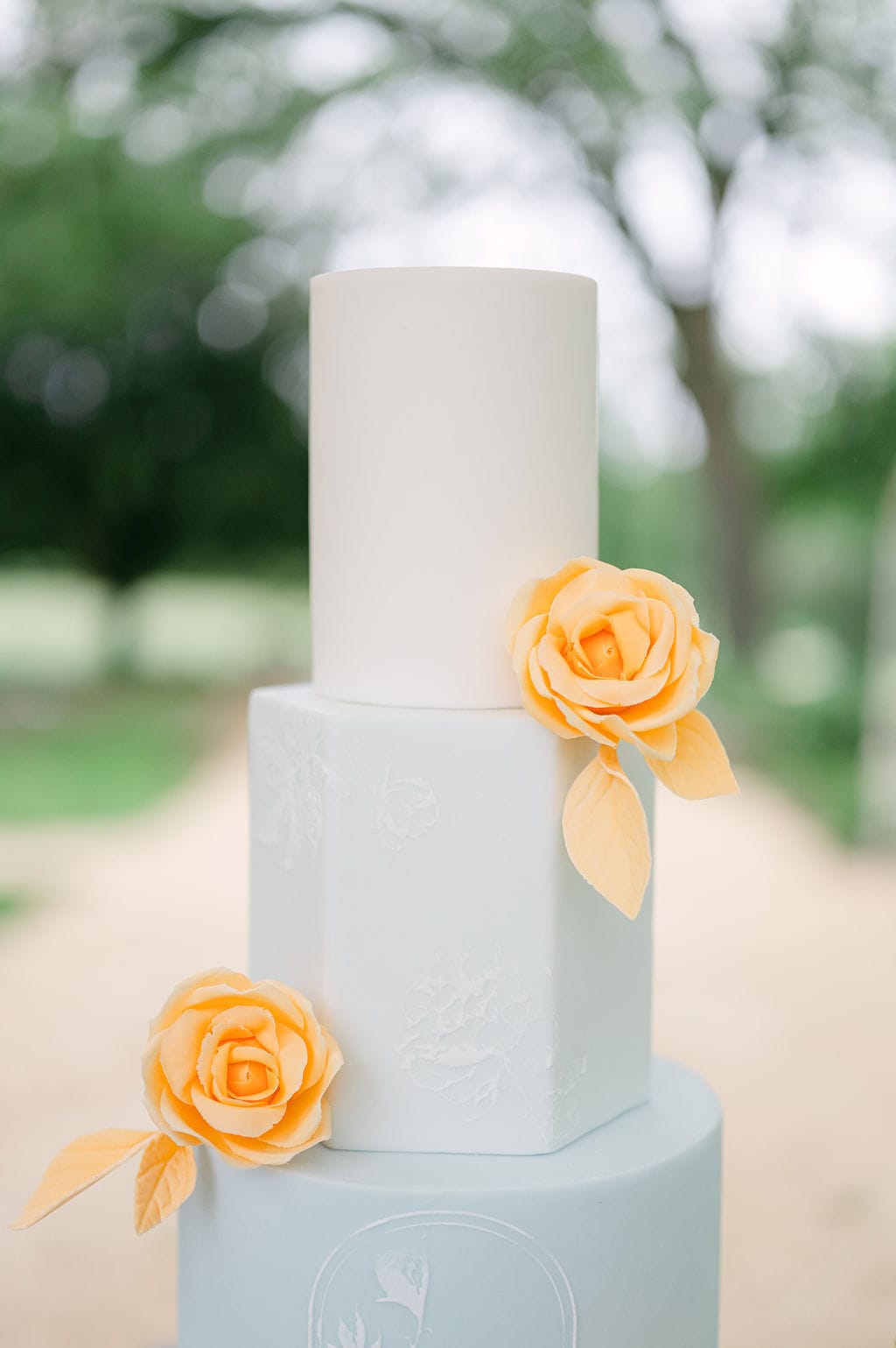 Wedding cake at Domaine de Lamanon, Provence
